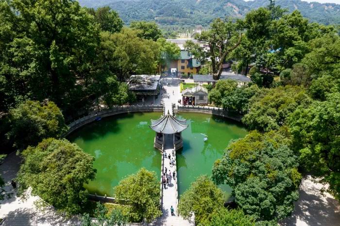 立秋后的第一場旅行，當然是要來曲江啦！